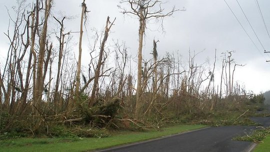 Cyclone+yasi+damage+photos